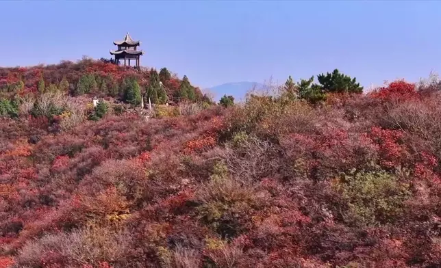 影片截圖 CGTN圖片