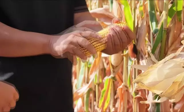 影片截圖 CGTN圖片