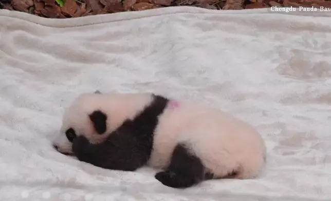 影片截圖 CGTN圖片
