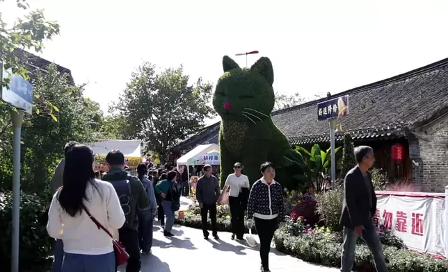 影片截圖 CGTN圖片