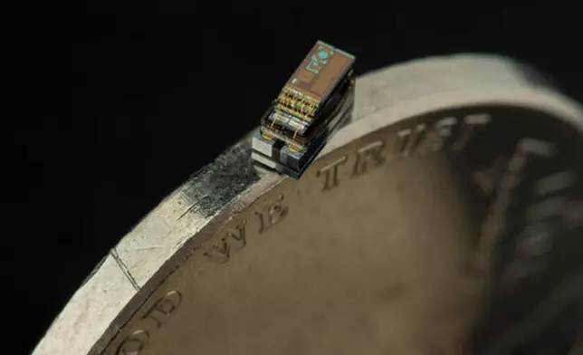 「密歇根微塵」（網上圖片）