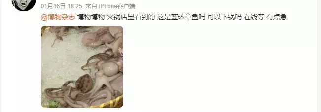 男子向官方科學雜誌微博查詢。 網圖