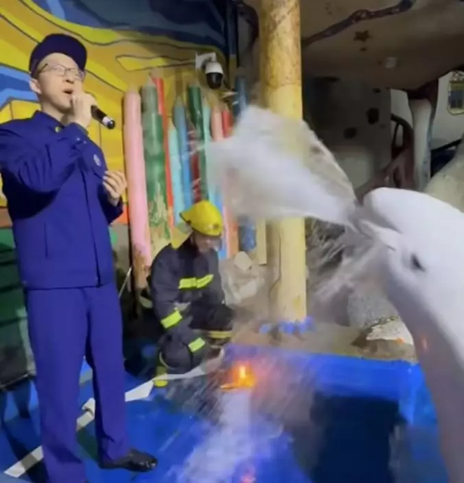 影片截圖