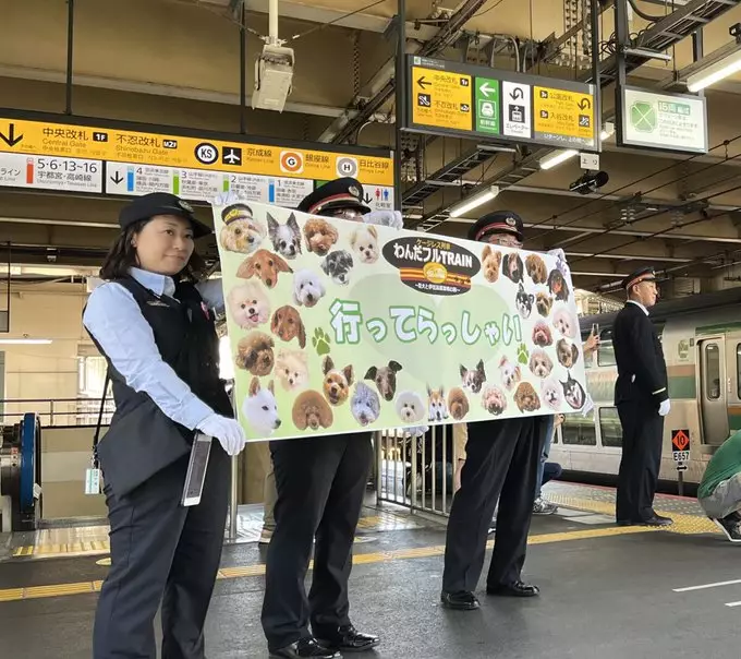 おでかけわんこ部 X圖片