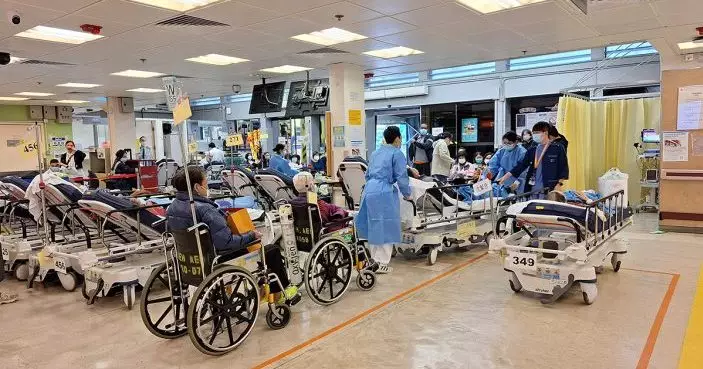 護士。巴士的報記者攝