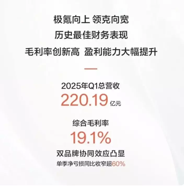 吉利通過極氪與領克兩個品牌的整合提效,雙品牌的綜合毛利率攀升至19.1%。
