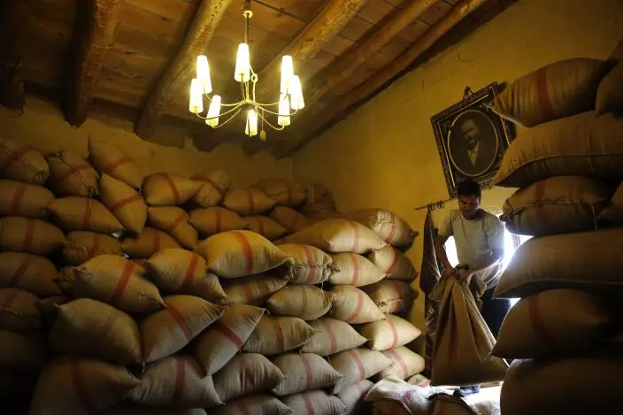In this Saturday Sept. 8, 2018 photo, a worker carries bag of anise that is used to produce arak, Lebanon's national alcoholic drink, at the Doumaine de Tourelles winery, in the town of Chtaura, east Lebanon. Homemade arak usually goes straight into gallon containers after distillation, ready for drinking. In commercial production, the arak sits in clay jugs for a year, making it smoother. (AP PhotoHussein Malla)