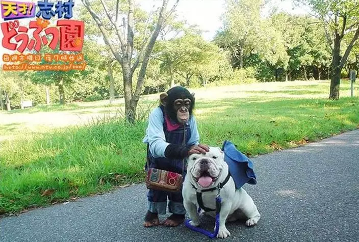 網上圖片
