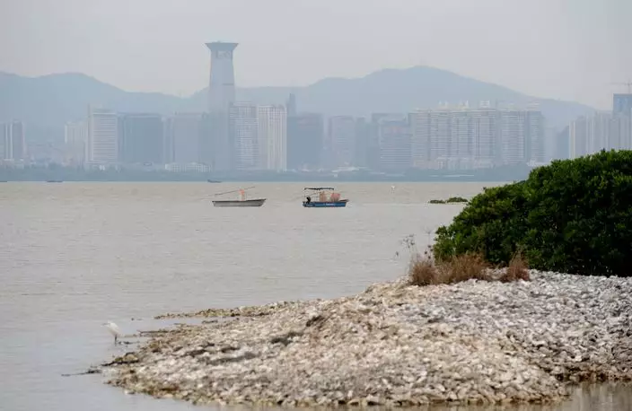 七成人蛇水路闖港大多提酷刑聲請