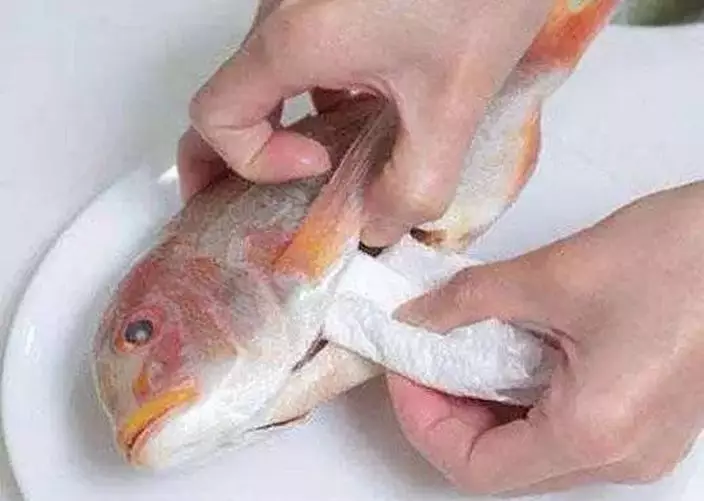 網上圖片