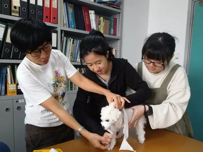 獸醫護士指導學員為寵物進行簡單檢查