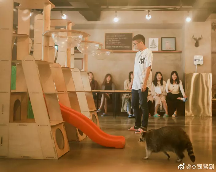 網上圖片