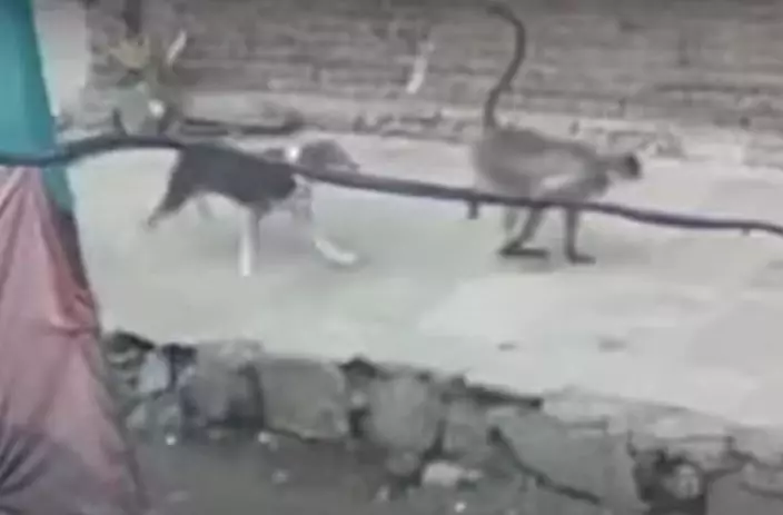 影片截圖