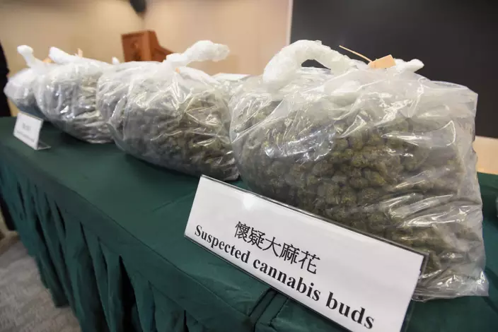 涉案約31公斤懷疑大麻花，估計市值共約600萬元。