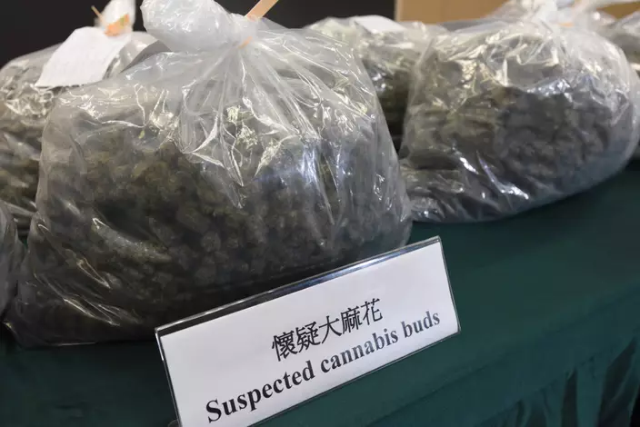 涉案約31公斤懷疑大麻花，估計市值共約600萬元。