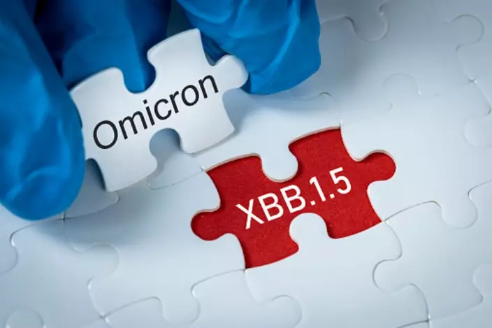 目前新冠主要流行株是Omicron XBB系列變異株。