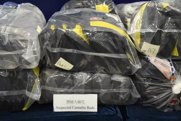 行動中檢獲160包共重91公斤大麻花，收藏在一箱箱急凍魚類貨物內。
