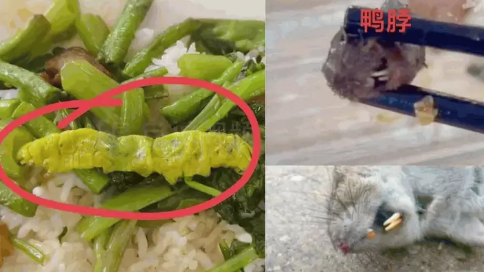 高校飯堂食出「鼠頭鴨脖」和大毛蟲，引發網民熱議。