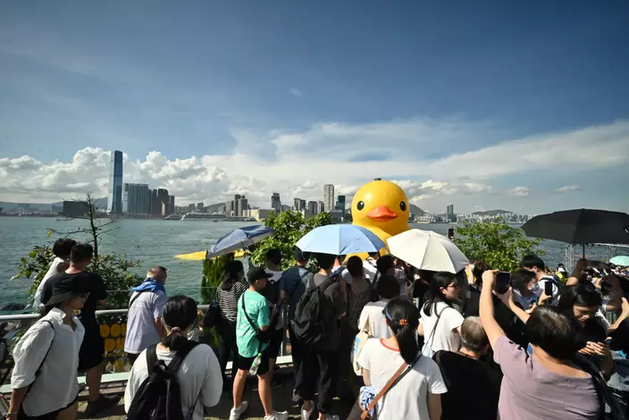 市民在下午前往圍觀已泄氣的黃鴨。