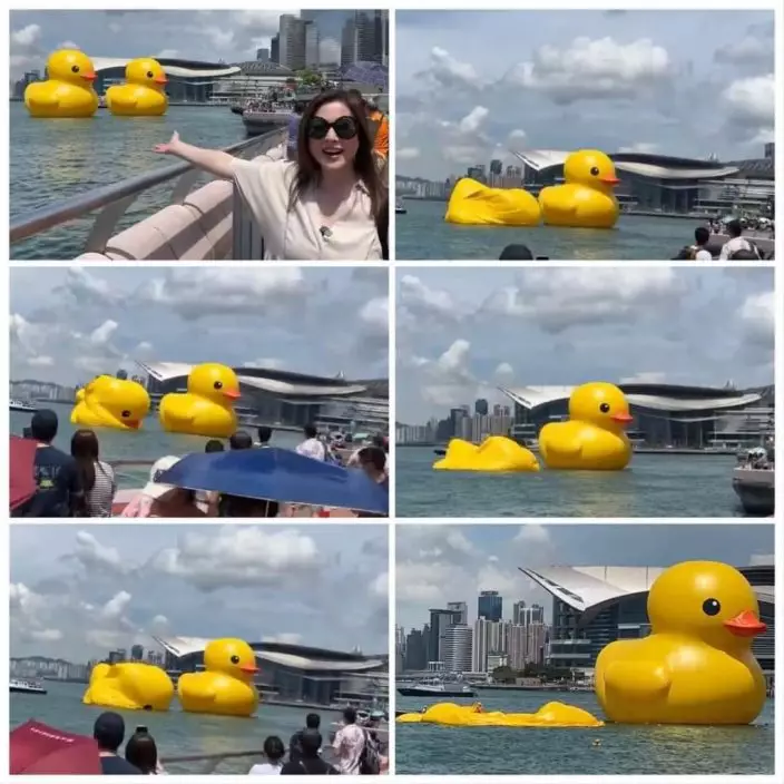 最愛香港嘅李婉華返港後響應追黃鴨潮,去到打卡位目擊變片皮鴨過程。