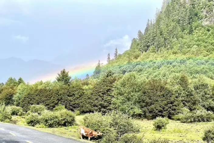 有網民分享於西藏拍攝到的「貼地彩虹」。（FB圖片）