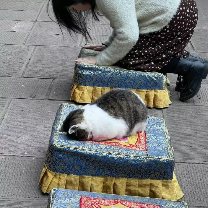 微博圖