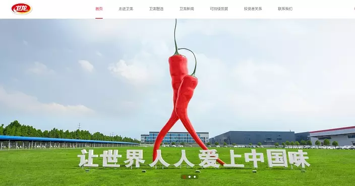 衛龍美味官網