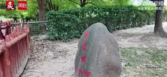 微博影片截圖