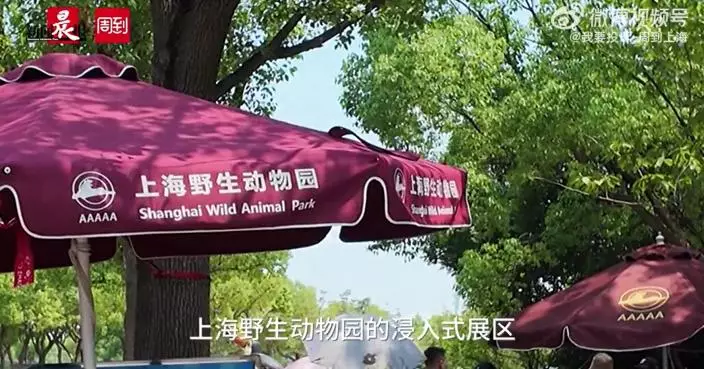 微博影片截圖