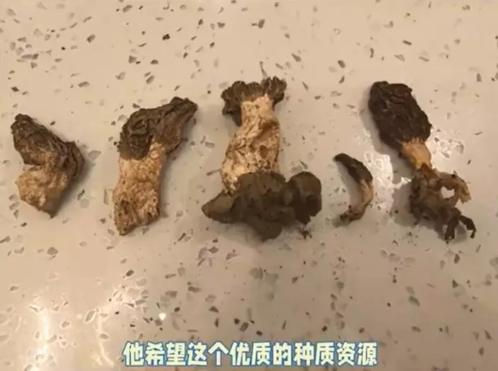 微博影片截圖
