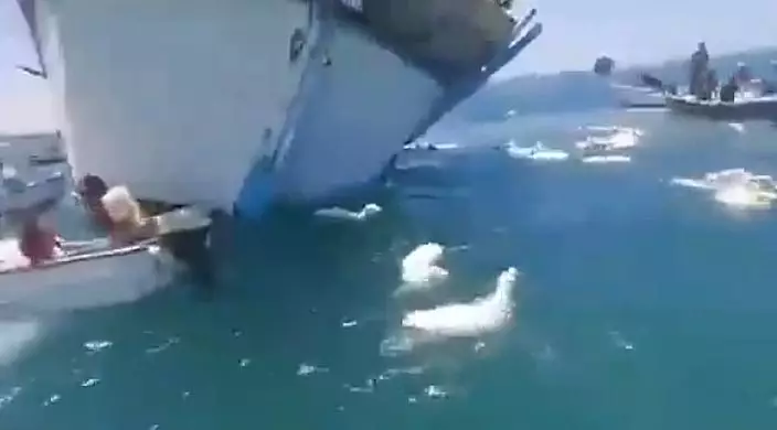 影片截圖