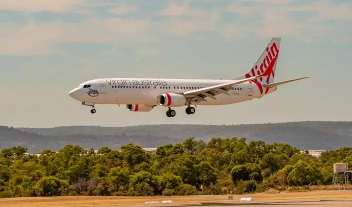 60厘米綠樹蛇「偷渡」延誤澳洲航班2小時。FB圖片@Virgin Australia