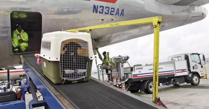A big airline is relaxing its pet policy to let owners bring the companion and a rolling carry-on
