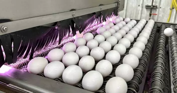 What&#8217;s keeping egg prices high for Easter? It&#8217;s not just inflation