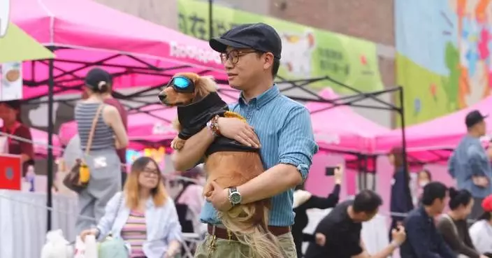 Beijing’s pet-owner duos rule fashion runway