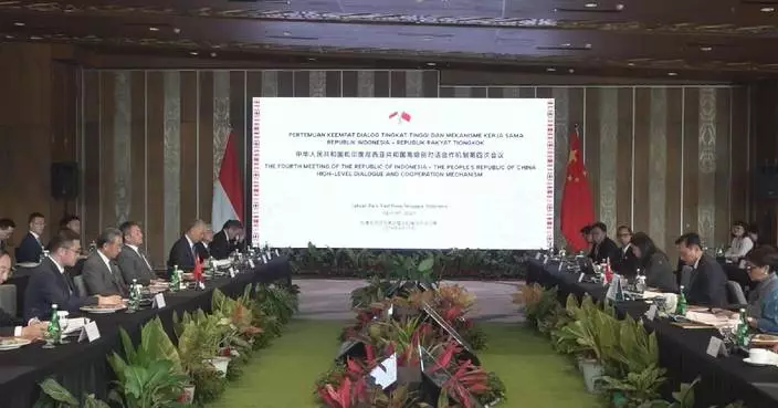 Wang Yi chairs China-Indonesia high-level meeting on cooperation