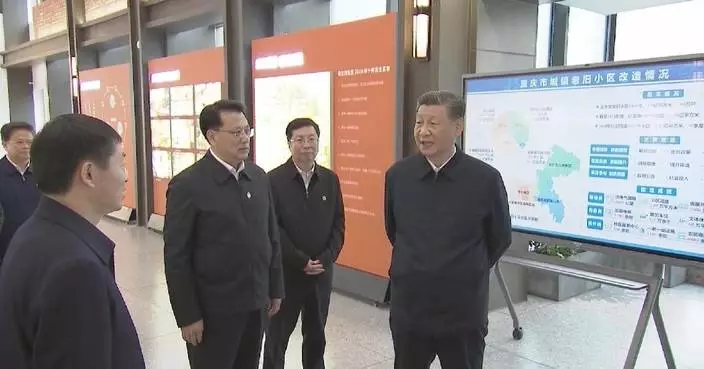 Xi stresses better community services, digitalization for city governance