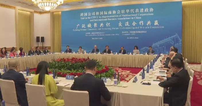 CPPCC consults with foreign business representatives for consensus buildup