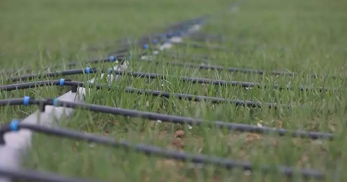 Innovative irrigation technology transforms farming efficiency