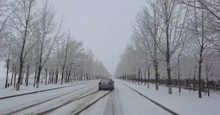 Unexpected snowfall hits north China's Hebei, affecting transportation
