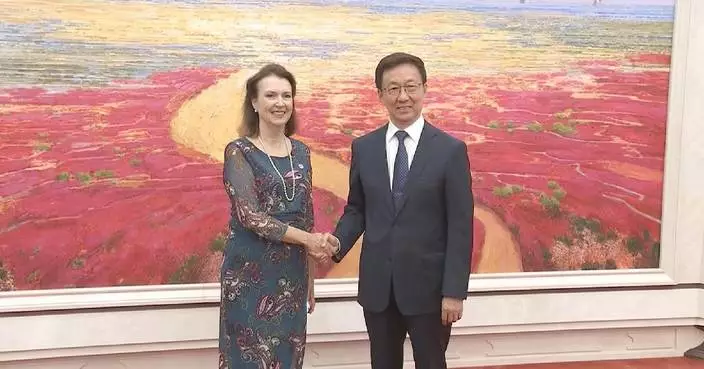 Chinese vice president meets Argentine FM