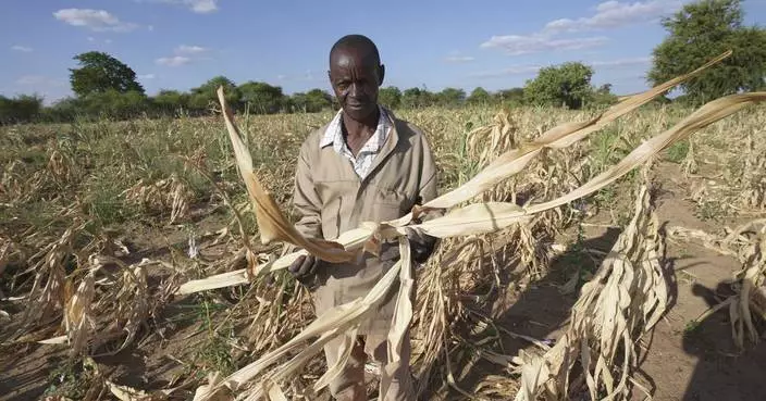 Rewind. Fast forward. African farmers are looking everywhere to navigate climate change