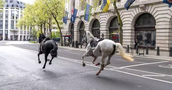 Military horses run loose in central London, injuring 4 people and causing havoc
