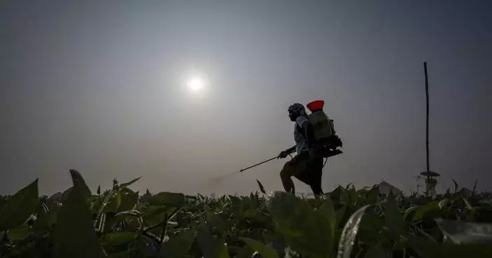 Farmers in India are hit hard by extreme weather. Some say expanding natural farming is the answer