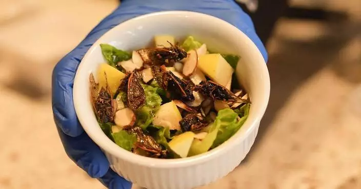 Would you like a cicada salad? The monstrous little noisemakers descend on a New Orleans menu