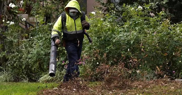 The problem with leaf blowers, and what you can do instead