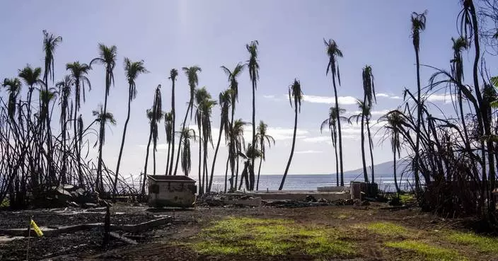 Maui officials push back on some details in Hawaii attorney general report on deadly wildfire
