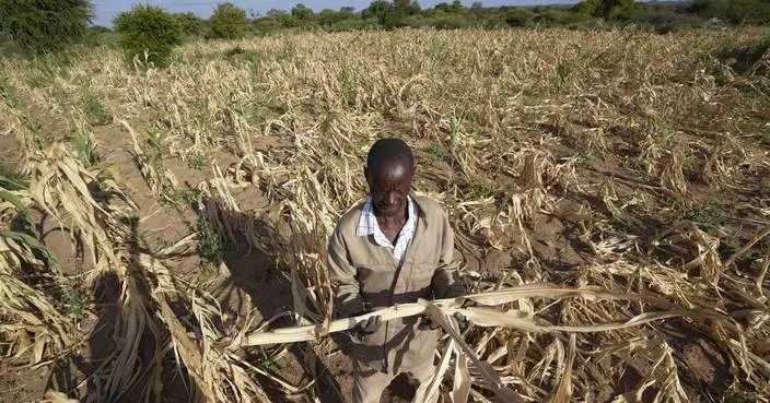 Zimbabwe declares drought disaster, the latest in a region where El Nino has left millions hungry