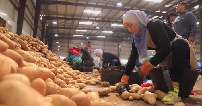 Egypt seeks new markets for agricultural products