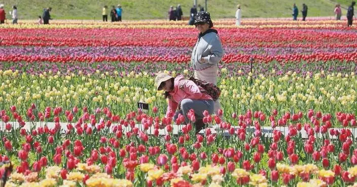 Millions revel in nature, cultural feast during China's May Day holiday